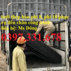 Lưới thép hàn phi 6 ô 200x200mm, 150x150mm, 100x100mm, 50x50mm hàng sẵn kho