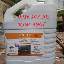 BEST GA BỔ GAN THẢO DƯỢC DẠNG NƯỚC NHẬP KHẨU ẤN