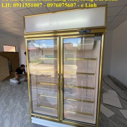 Tủ mát 2 cánh chính hãng Rueyshing Đài Loan