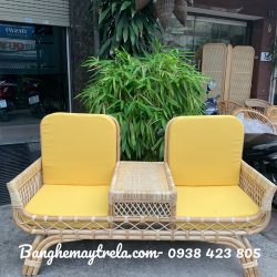 Băng ghế mây 2 chỗ decor