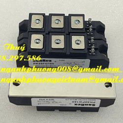 Module bán dẫn SanRex PK55FG160 - Hoàng Anh Phương