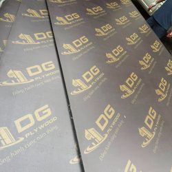 Ván ép phủ phim giá rẻ