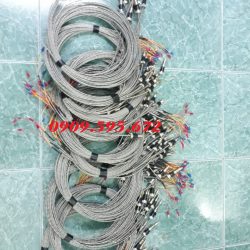 Điện trở Dây dò nhiệt