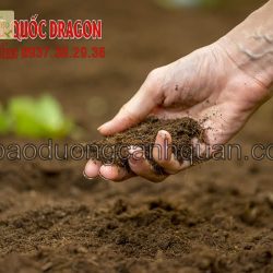 Bán Đất màu trồng cây đất công trình giá rẻ ở Long An, Đồng Nai