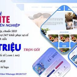 chuyên thiết kế website