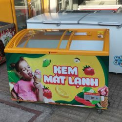Tủ Đông Mặt Kính Sanaky, Hàng Mới 90%