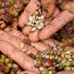 5 Dấu Hiệu Cà Phê Hư Và Cách Bảo Quản Cà Phê Đúng Cách