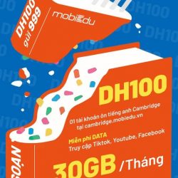 Chọn DH100 – Tự tin chinh phục tiếng Anh điểm cao cùng MobiEdu