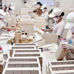 Tuyển 30 công nhân đóng gói bao bì làm tại Bình Tân
