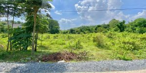 Bán Đất MT Tân Thông Hội SHR Công Chứng Sang Tên Ngay Giá Chỉ 1.5 tỷ