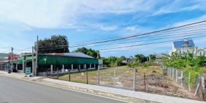BÁN ĐẤT MT ĐƯỜNG NHỰA 14M PHƯỚC VĨNH AN - SHR CÔNG CHỨNG NGAY - GIÁ CHỈ 2TY8
