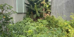 Bán đất ở mặt ngõ rộng