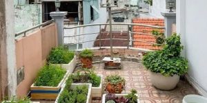 Bán nhà Cách Mạng Tháng Tám, QUẬN 3, 3 x 16.5 (49 m2), 9 tỷ