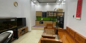 Chính Chủ Bán Nhà Trong Ngõ Đê Trần Khát Chân, Phường Vĩnh Tuy, Quận Bà Trưng,