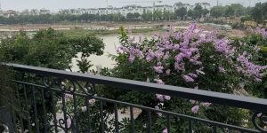 CHÍNH CHỦ CHO THUÊ MẶT BẰNG KINH DOANH – VỊ TRÍ ĐẸP TẠI LONG BIÊN, HÀ NỘI