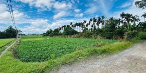 [D2707] Đất ven sông 4819m2 Thạnh Xuân 33 Q12 - Giá 2x tỷ