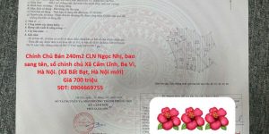 Chính Chủ Bán 240m2 CLN Ngọc Nhị, bao sang tên, sổ chính chủ Xã Cẩm Lĩnh, Ba