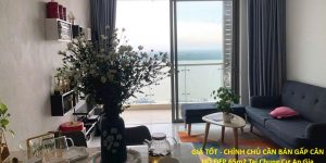 GIÁ TỐT - CHÍNH CHỦ CẦN BÁN GẤP CĂN HỘ ĐẸP 65m2 Tại Chung Cư An Gia Riverside,