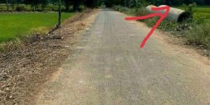 Đất Phú Hòa Đông, Củ Chi 667m2 - Mặt tiền Bưng Tràm, tiềm năng thành lô góc 2