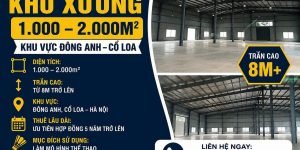 CẦN TÌM KHO XƯỞNG 1.000 – 2.000M2 TẠI ĐÔNG ANH – CỔ LOA