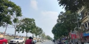 Bán Nhà Mặt Phố Cổ Linh, Long Biên 135M2 Mặt Tiền 12m Vi Hè 10m Kinh Doanh 59 Tỷ