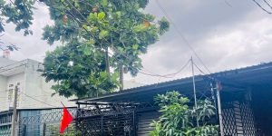 VỊ TRÍ ĐẸP - GIÁ TỐT - BÁN NHANH NHÀ CẤP 4 – HẺM 8M – Trần Thị Năm, Quận 12