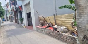 Chính chủ bán đất Cổ Dương, Tiên Dương, Đông Anh - 52,2m2, đường quy hoạch 10m,