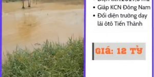 CHÍNH CHỦ BÁN 2 LÔ ĐẤT MẶT TIỀN CỦ CHI –  TPHCM , GIÁ TỐT