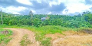 Hẻm ql20 - hiệp thuận, ninh gia, lâm đồng - gần trạm dừng chân lê sáng