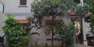 Nhà Chi Đông 2,5 tầng, 5 PN 2VS, chỗ để ô tô, có sân + cây ăn trái, 5tr/tháng