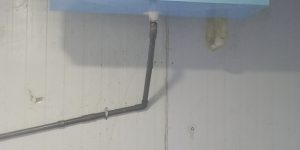 Cho thuê kho đông lạnh, bảo quản lạnh thực phẩm, nông sản
