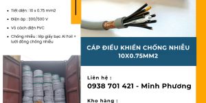 Cáp điều khiển chống nhiễu 10x0.75mm2 dùng cho công trình Huế, Gia Lai, Hà Nội