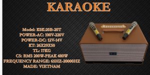 Loa karaoke K0K 20B-20T RMS-200W PEAK-480W