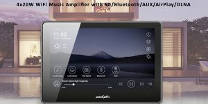 AUXDIO DM858