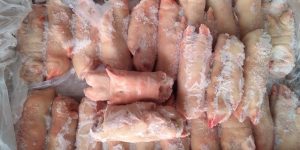 Chân Giò Heo Đông Lạnh Giá Rẻ
