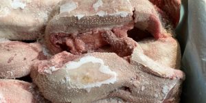 Cung Cấp Lưỡi Heo Nhập Khẩu Toàn Quốc
