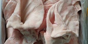 Tai heo nhập khẩu giá sỉ toàn quốc