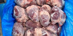 Tim heo đông lạnh chất lượng ổn định