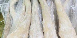 Đuôi Trâu Ấn Độ Nguồn Hàng Ổn Định