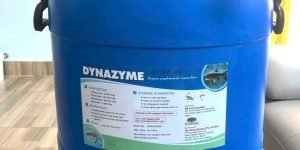 DYNAZYME - Hỗn Hợp Đa Enzyme Cho Tôm Cá, Cải Thiện Tiêu Hóa, FCR