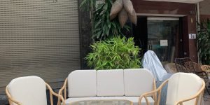 Bàn ghế mây hiện đại lưng V