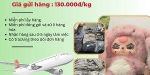 Tiến Việt Express gửi hàng đi Úc giá rẻ