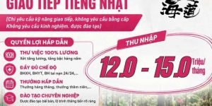 SUSHI HOKKAIDO SACHI tuyển nam phụ bếp giao tiếp tiếng Nhật