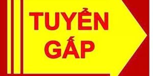 Tuyển Nữ chuyên viên hồ sơ ngành hoá mỹ phẩm