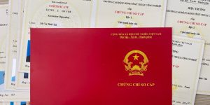 DẠY LÁI MÁY XÚC-CẨU, XE NÂNG CẤP CHỨNG CHỈ
