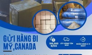 Gửi hàng đi Mỹ, Canada giá rẻ tại Tiến Việt Express.