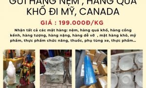 Gửi hàng đi Mỹ và Canada siêu tiết kiệm đồng giá 199.000đ/kg