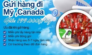 Hàng ngàn ưu đãi khi gửi hàng đi Mỹ và Canada tại Tiến Việt Express