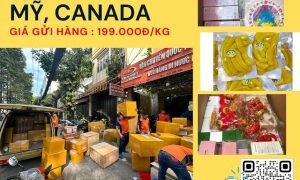 Gửi đặc sản đi Mỹ và Canada giá rẻ tại TVE
