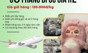 Tiến Việt Express gửi hàng đi Úc giá rẻ